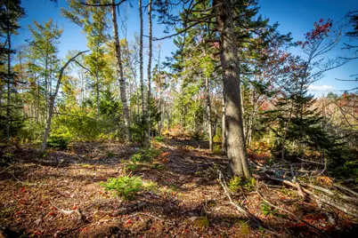 Lot 5 Jack's Lane, Bristol, ME 04554 - Photo 1