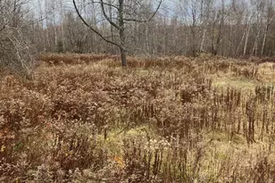 378 Airline Rd, Baileyville, ME 04694 - Photo 4