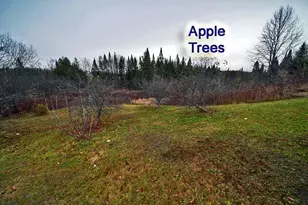 42 Bootfoot Rd, Bridgewater, ME 04735 - Photo 44
