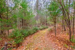 304 Dunn Rd, Norway, ME 04268 - Photo 100