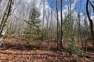 Tbd Lowell Rd, Carroll Plt, ME 04487 - Photo 20