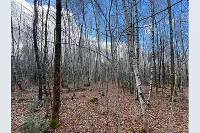 Tbd Lowell Road, Carroll Plt, ME 04487 - Photo 18