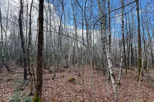 Tbd Lowell Rd, Carroll Plt, ME 04487 - Photo 18