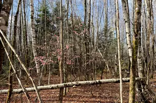 Tbd Lowell Rd, Carroll Plt, ME 04487 - Photo 22