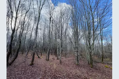 Tbd Lowell Road, Carroll Plt, ME 04487 - Photo 16