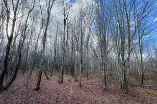 Tbd Lowell Rd, Carroll Plt, ME 04487 - Photo 16