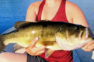 180 Lambert Rd, Skowhegan, ME 04976 - Photo 38