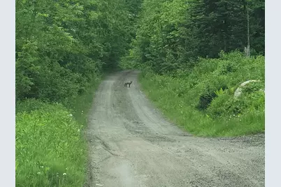 180 Lambert Road, Skowhegan, ME 04976 - Photo 36