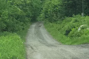 180 Lambert Rd, Skowhegan, ME 04976 - Photo 36