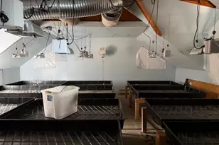 590 Hanson Rd, China, ME 04358 - Photo 10