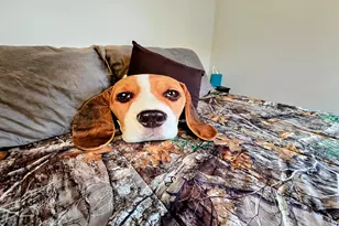 83 Phelan St, Sabattus, ME 04280 - Photo 44