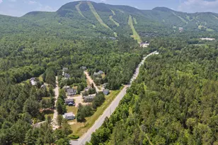 9 Crosby Ln, Newry, ME 04261 - Photo 60