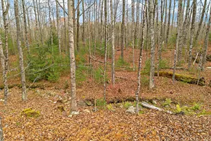 45 Marden Shore Rd, Albion, ME 04910 - Photo 52