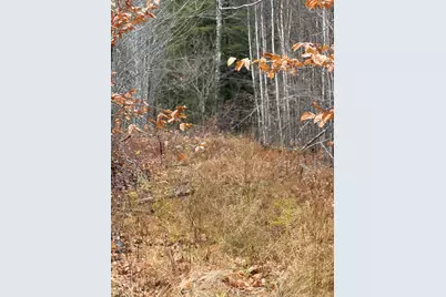 M5/L27 Pond Road, Abbot, ME 04406 - Photo 6