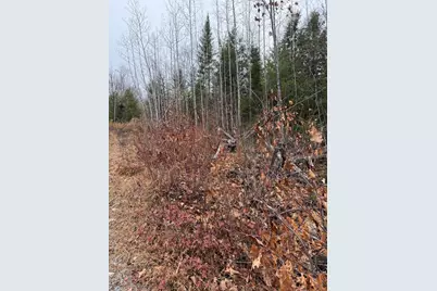 M5/L27 Pond Road, Abbot, ME 04406 - Photo 14