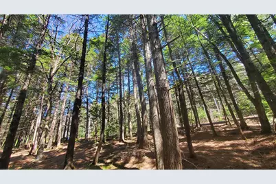 307 Lakeville Shores Road, Lakeville, ME 04487 - Photo 22