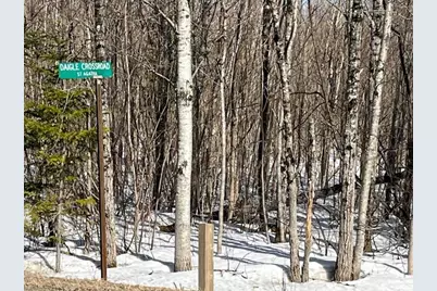00 Daigle Cross Road, Saint Agatha, ME 04772 - Photo 2