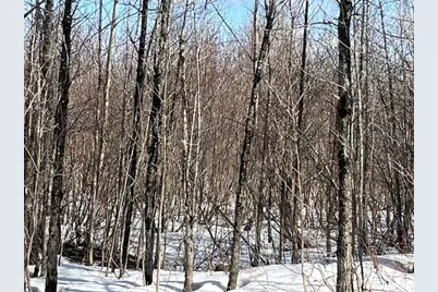 00 Daigle Cross Road, Saint Agatha, ME 04772 - Photo 8