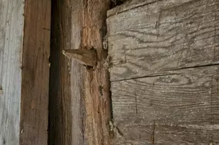 205 Greenleaf Rd, Anson, ME 04911 - Photo 44