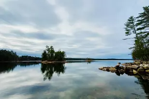 8 Cove Rd, Grand Lake Stream Plantation, ME 04668 - Photo 78