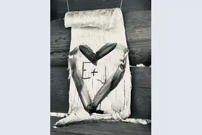 8 Cove Road, Grand Lake Stream Plantation, ME 04668 - Photo 40