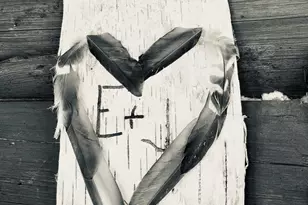 8 Cove Rd, Grand Lake Stream Plantation, ME 04668 - Photo 40