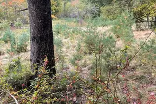 Map4Lot3 E Bucksport Rd, Orrington, ME 04474 - Photo 14