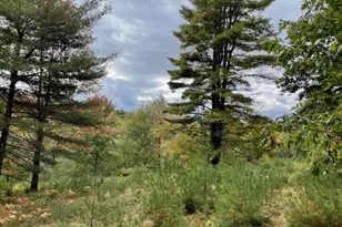 Map4Lot3 E Bucksport Rd, Orrington, ME 04474 - Photo 20