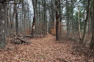 180 Highland Cliff Rd, Windham, ME 04062 - Photo 22