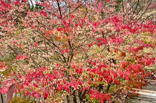 38 Indian Point Rd, Bar Harbor, ME 04609 - Photo 70