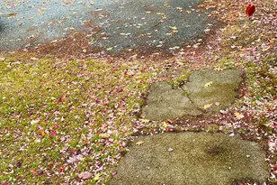 38 Indian Point Rd, Bar Harbor, ME 04609 - Photo 74