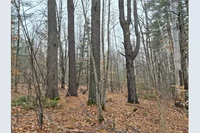 Mu23 L19B Holley Road, Farmington, ME 04938 - Photo 2