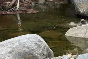 645 Reed's Mill Rd, Madrid Twp, ME 04966 - Photo 14