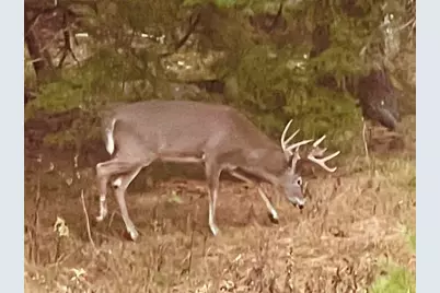 141 Beech Hill Road, Mount Desert, ME 04660 - Photo 92