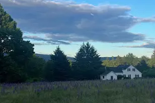 141 Beech Hill Rd, Mount Desert, ME 04660 - Photo 20