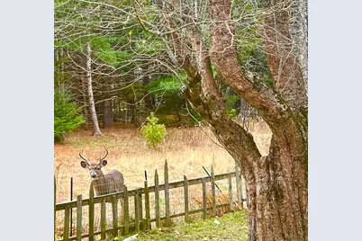 141 Beech Hill Road, Mount Desert, ME 04660 - Photo 110