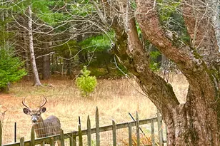 141 Beech Hill Rd, Mount Desert, ME 04660 - Photo 110