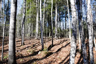 M7 L19-5 Pine Bluff Road, Embden, ME 04958 - Photo 4