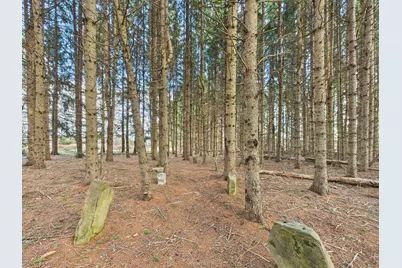 259 Old Washburn Road, Caribou, ME 04736 - Photo 34