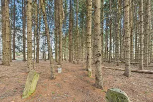 259 Old Washburn Rd, Caribou, ME 04736 - Photo 6