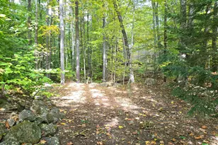 173 Mountain Rd, Denmark, ME 04022 - Photo 32