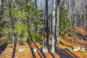 173 Mountain Rd, Denmark, ME 04022 - Photo 40