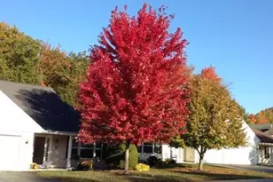 74 Macintosh Ln, Old Orchard Beach, ME 04064 - Photo 32