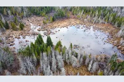 291 River Road, Milo, ME 04463 - Photo 6