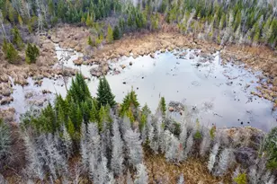 291 River Rd, Milo, ME 04463 - Photo 6