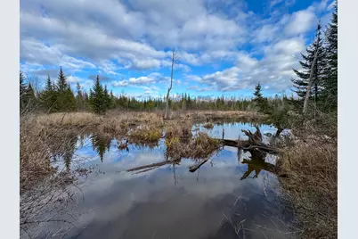 291 River Road, Milo, ME 04463 - Photo 40