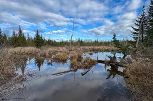 291 River Rd, Milo, ME 04463 - Photo 40