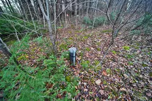 461 Sandy Beach Rd, Danforth, ME 04424 - Photo 14