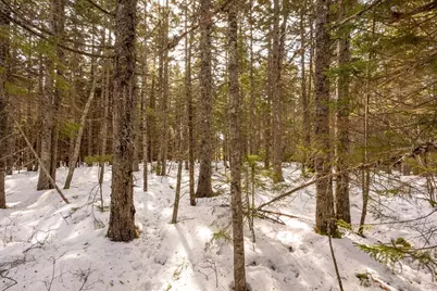 Lot 13 Nahanada Road, Bristol, ME 04554 - Photo 20