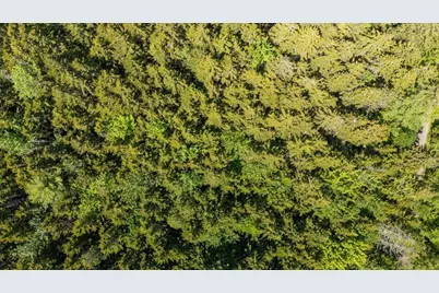 Lot 13 Nahanada Road, Bristol, ME 04554 - Photo 12